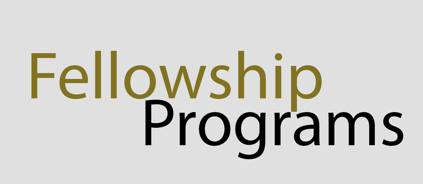 Fellowship programme