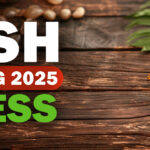 AYUSH Counselling 2025 Process