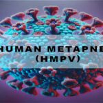 Human Metapneumovirus (hMPV): Understanding the Virus, Its Symptoms, and Treatment