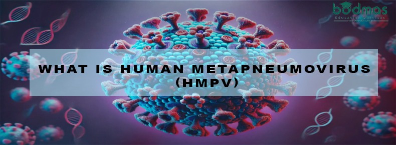 What is Human Metapneumovirus (hMPV)